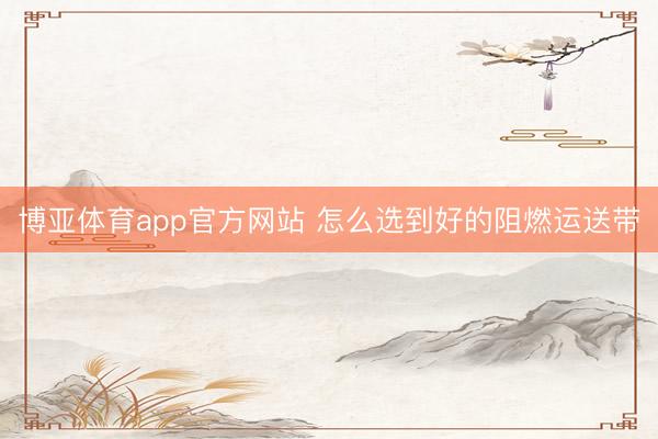 博亚体育app官方网站 怎么选到好的阻燃运送带