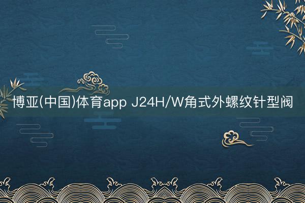 博亚(中国)体育app J24H/W角式外螺纹针型阀
