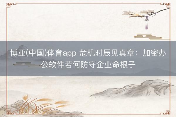 博亚(中国)体育app 危机时辰见真章：加密办公软件若何防守企业命根子