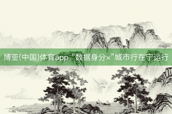 博亚(中国)体育app “数据身分×”城市行在宁运行