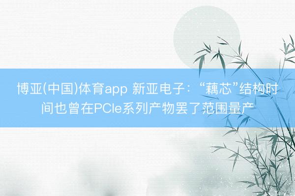 博亚(中国)体育app 新亚电子：“藕芯”结构时间也曾在PCIe系列产物罢了范围量产