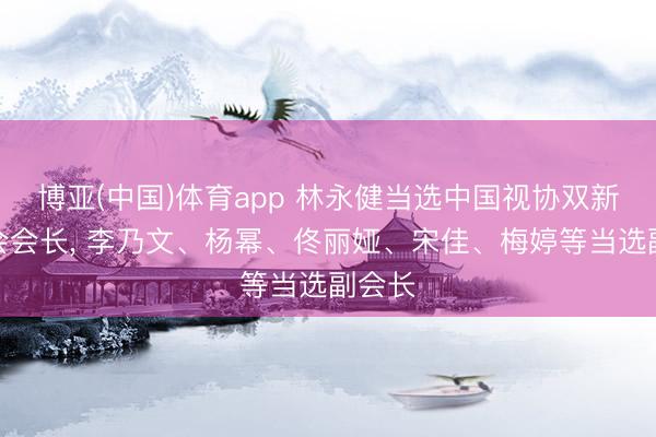 博亚(中国)体育app 林永健当选中国视协双新委员会会长， 李乃文、杨幂、佟丽娅、宋佳、梅婷等当选副会长