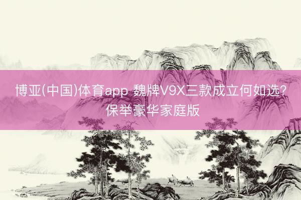 博亚(中国)体育app 魏牌V9X三款成立何如选？ 保举豪华家庭版