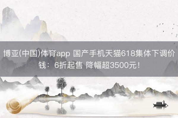 博亚(中国)体育app 国产手机天猫618集体下调价钱:6折起售 降幅超3500元!