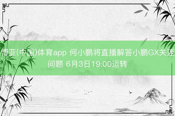 博亚(中国)体育app 何小鹏将直播解答小鹏GX关连问题 6月3日19:00运转