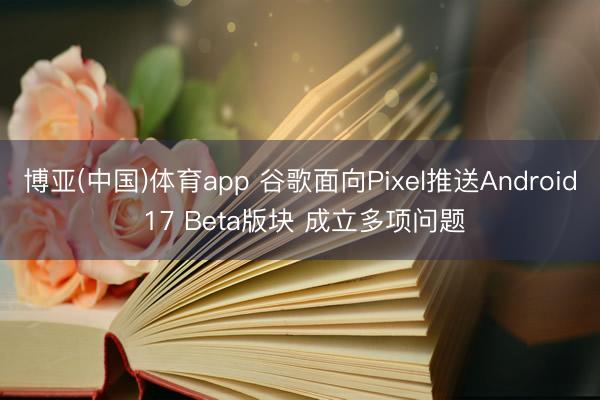 博亚(中国)体育app 谷歌面向Pixel推送Android 17 Beta版块 成立多项问题