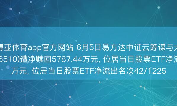 博亚体育app官方网站 6月5日易方达中证云筹谋与大数据主题ETF(516510)遭净赎回5787.44万元， 位居当日股票ETF净流出名次42/1225